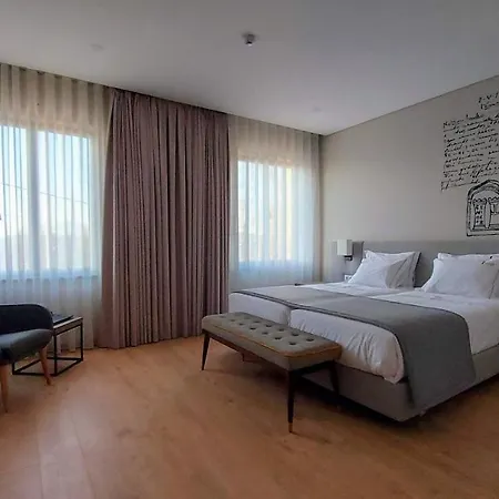 Casa Da Torre - 维塞乌