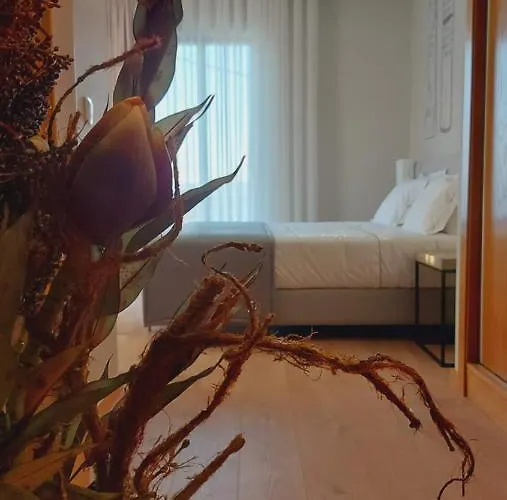 Mini-hôtel Casa Da Torre - Viseu